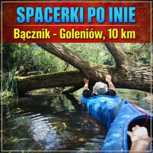 03.05.2026,  GODZ. 12:00  ŁĘSKO (Bącznik)-GOLENIÓW, 10km