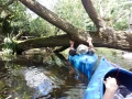 20160611_134717.jpg