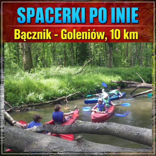BANNER-BACZNIK-GOLENIOW-6-MAŁY.jpg